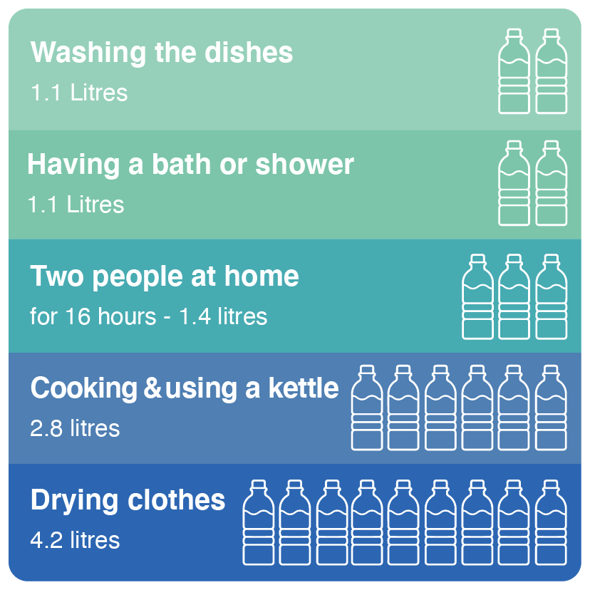 Damp Mould Graphic Damp Mould Graphic